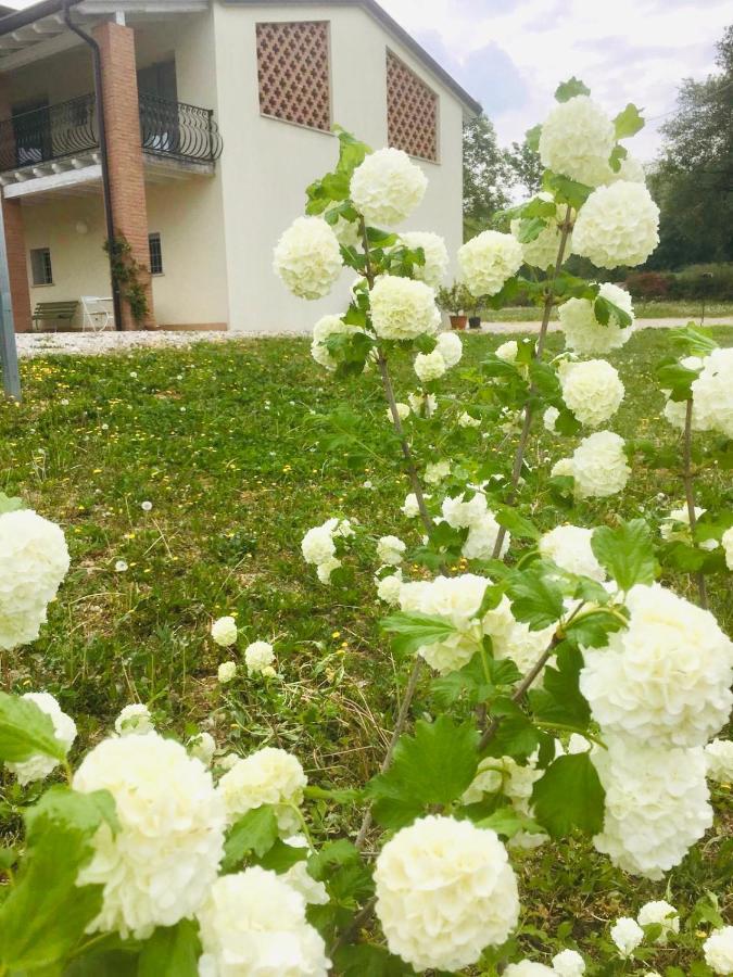 Alloggio per agriturismo Incanto Del Garda *