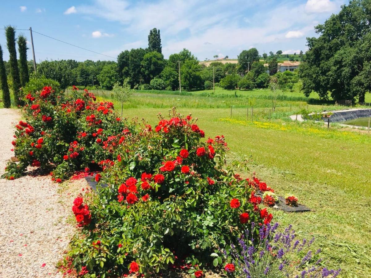 Incanto Del Garda Alloggio per agriturismo *
