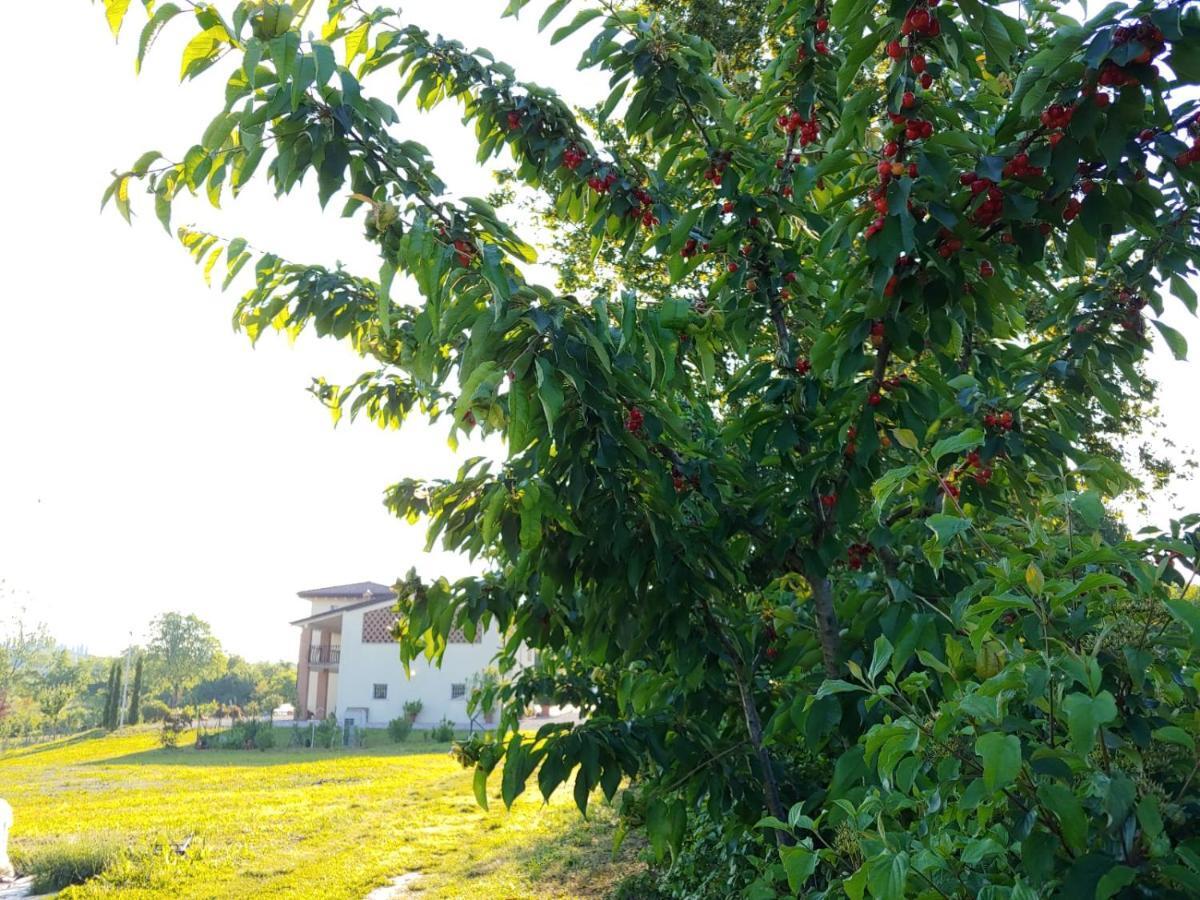 Incanto Del Garda Alloggio per agriturismo *